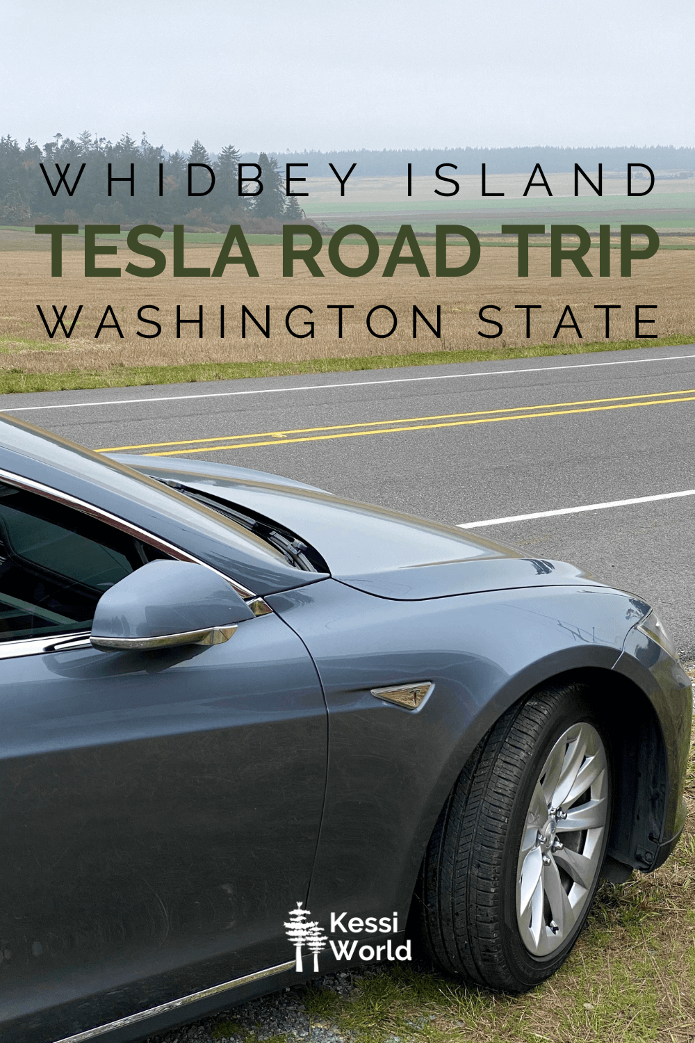 Pinterest tile of a Tesla at the side of a country roadway with a harvested filed in the background framed in by fir trees and rolling green pastures.