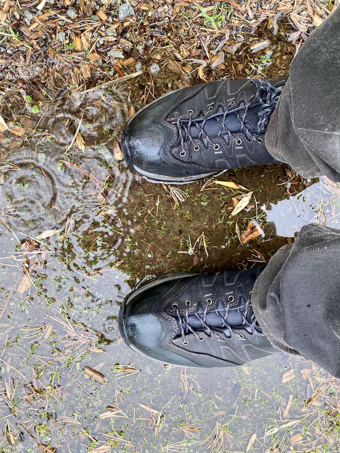 Gray hiking shoes look very wet, as well as the cotton pants that seemed soaked with water.  This person is standing in a mud puddle with droplets falling and making circle of ripples.  There are assorted wood chips and other plant matter floating in the water.  