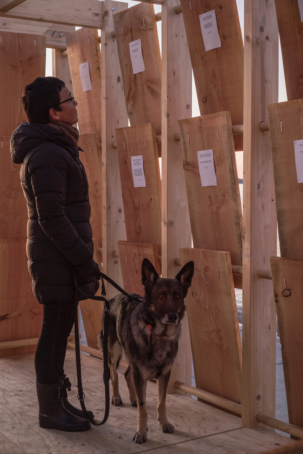 A visitor at Nuuk Nordisk Kulturfestival reads the exhibit papers of answers to the question, "What is home to you?"  at Greenland Qamutit Sled House