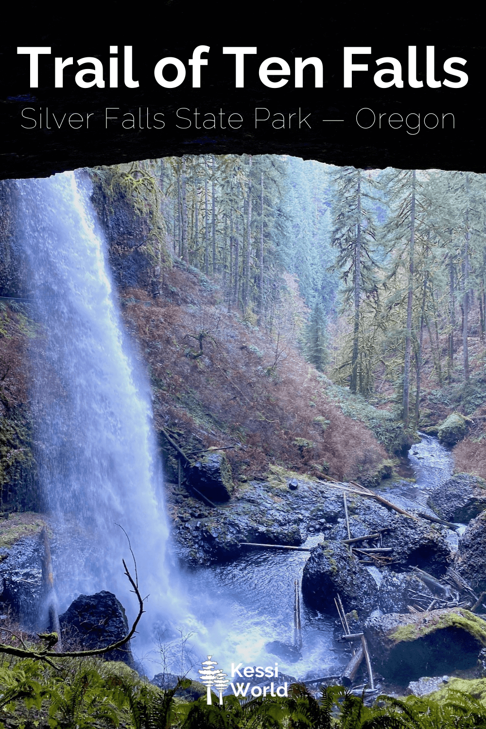 This Pinterest pin showcases stunning North Falls in the Silver Creek Falls Trail of Ten Falls from the viewpoint inside the cave behind the waterfall, looking outward toward a Winter forest scene, with evergreen trees mixed with leafless maples.  The dark roof of the cave is in contract to the water gushing down from above and the green ferns growing around the splash zone as mist rises up and covers giant lava rocks with tree trunks strewn about.  