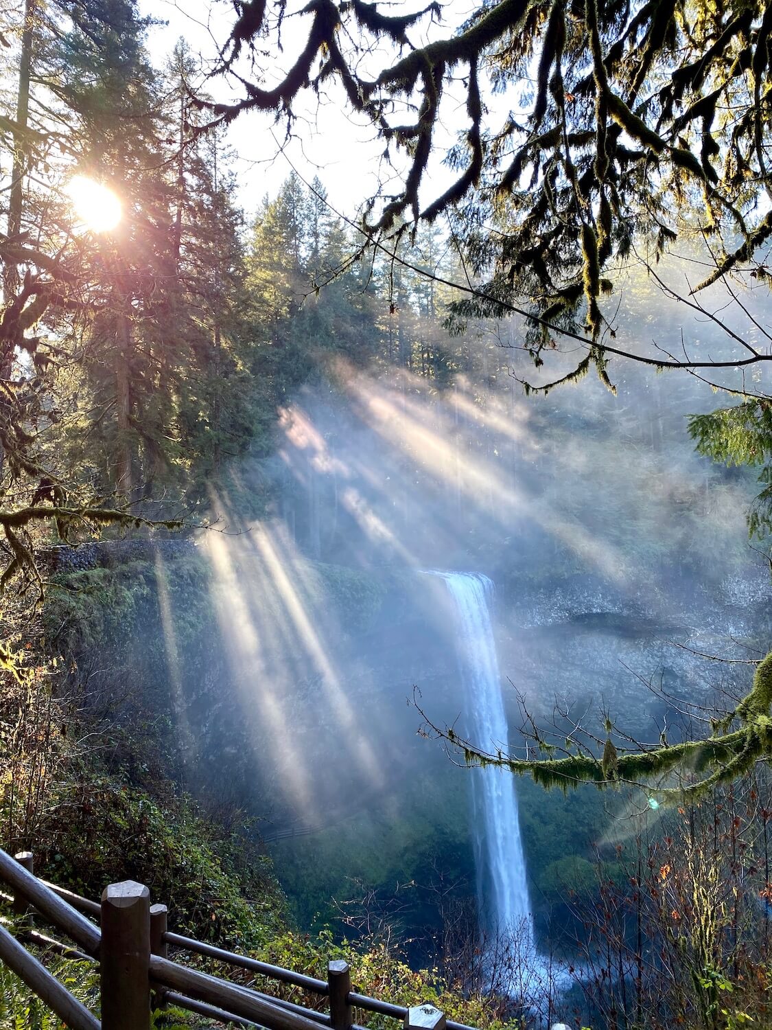 This misty morning view of South Falls, which is the statuesque feature of the Trail of Ten Falls in Silver Falls State Park in Oregon.  Sunbeams gently flow between the branches of forest trees as mist rises up from the churning water flowing over an ancient volcanic cliff covered with green moss and ferns.  Far below a fenced path can be faintly seen just above a pool of frothy mountain water.  