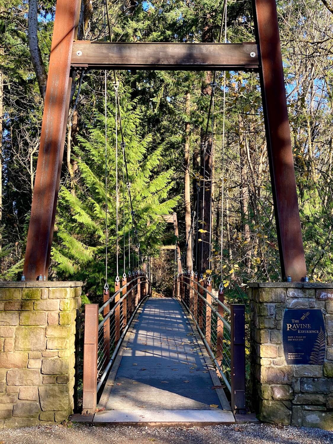The suspension bridge at Bellevue Botanical Garden is a great outdoor thing to do in Winter in Seattle. The thick cables are connected to railings that hold the engineering contraption up under green leafy cedar and fir trees.