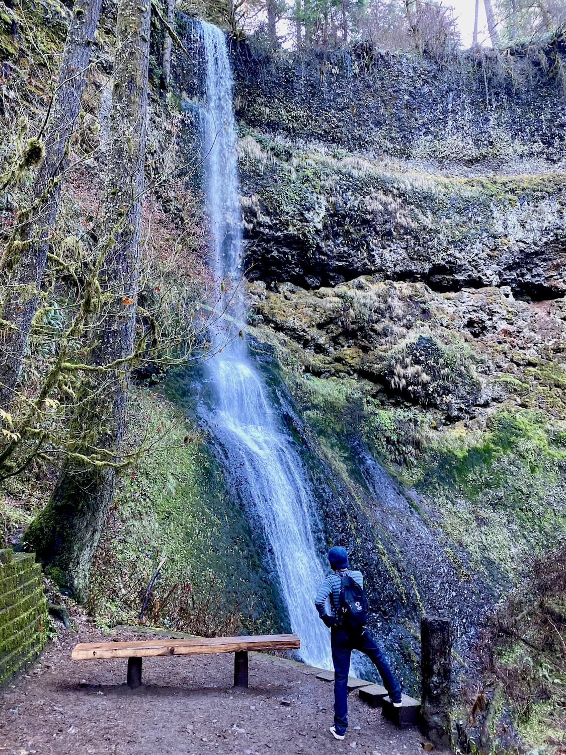 Winter Falls, in Silver Falls State Park in Oregon, gracefully flows down a steep cliff formed by volcanic rock thousands of years ago.  There is abundant moss and algae in the path of the flowing water as a hiker takes pause at the pool near the bottom of the waterfall.  