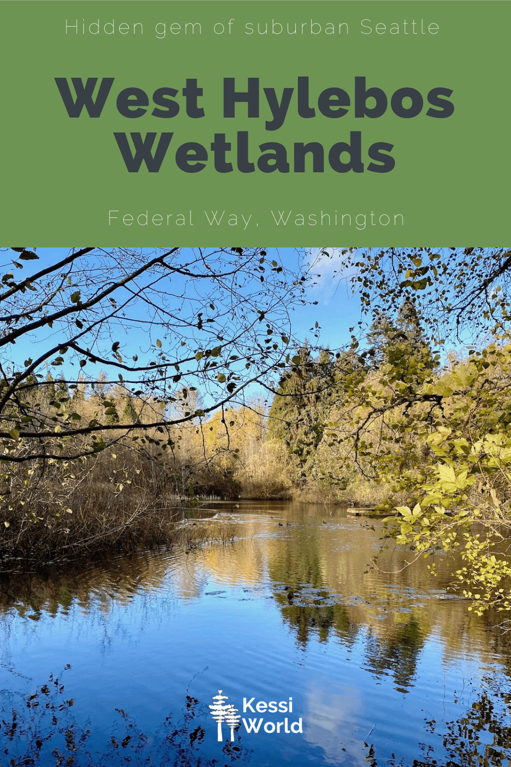 Pinterest tile showing the placid Bluewater lake of West Hylebos Wetlands Park in Federal Way. The blue sky reflects off the water along with the brownish brush.