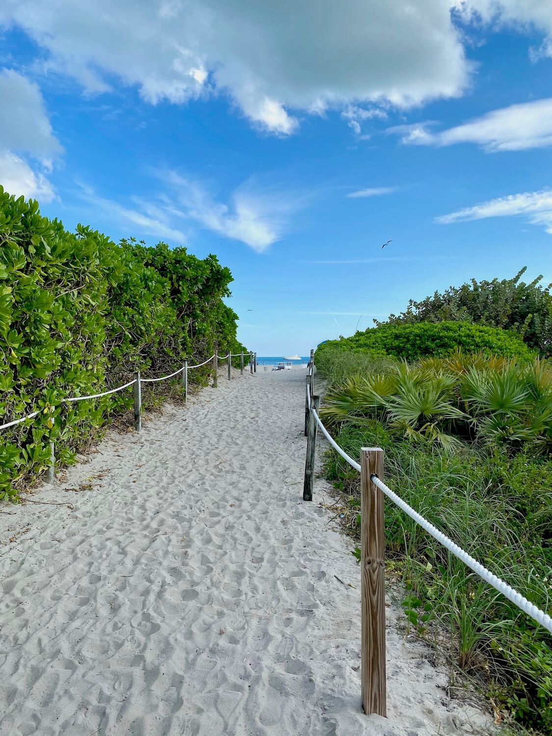 A sandy path leads along a rope fence toward the beach with blue sky and white puffy clouds.  Green bushes lines the pathway.