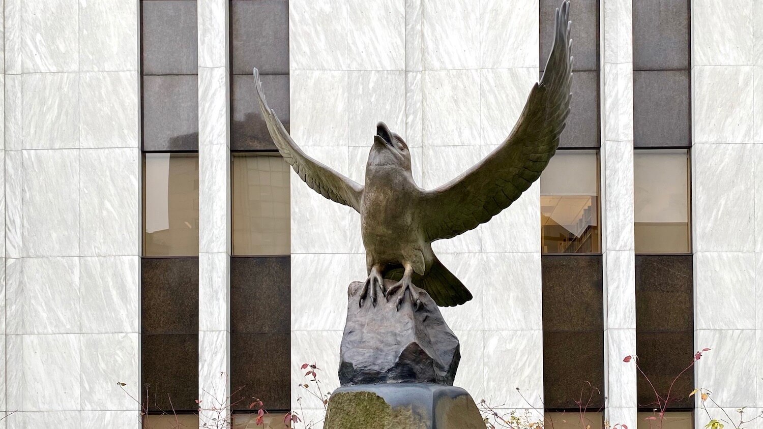 A bronze raven looks up to the sky with wings in full flap of flight.  This art installment is located near the entrance to a white marble building on the campus of Seattle University. 