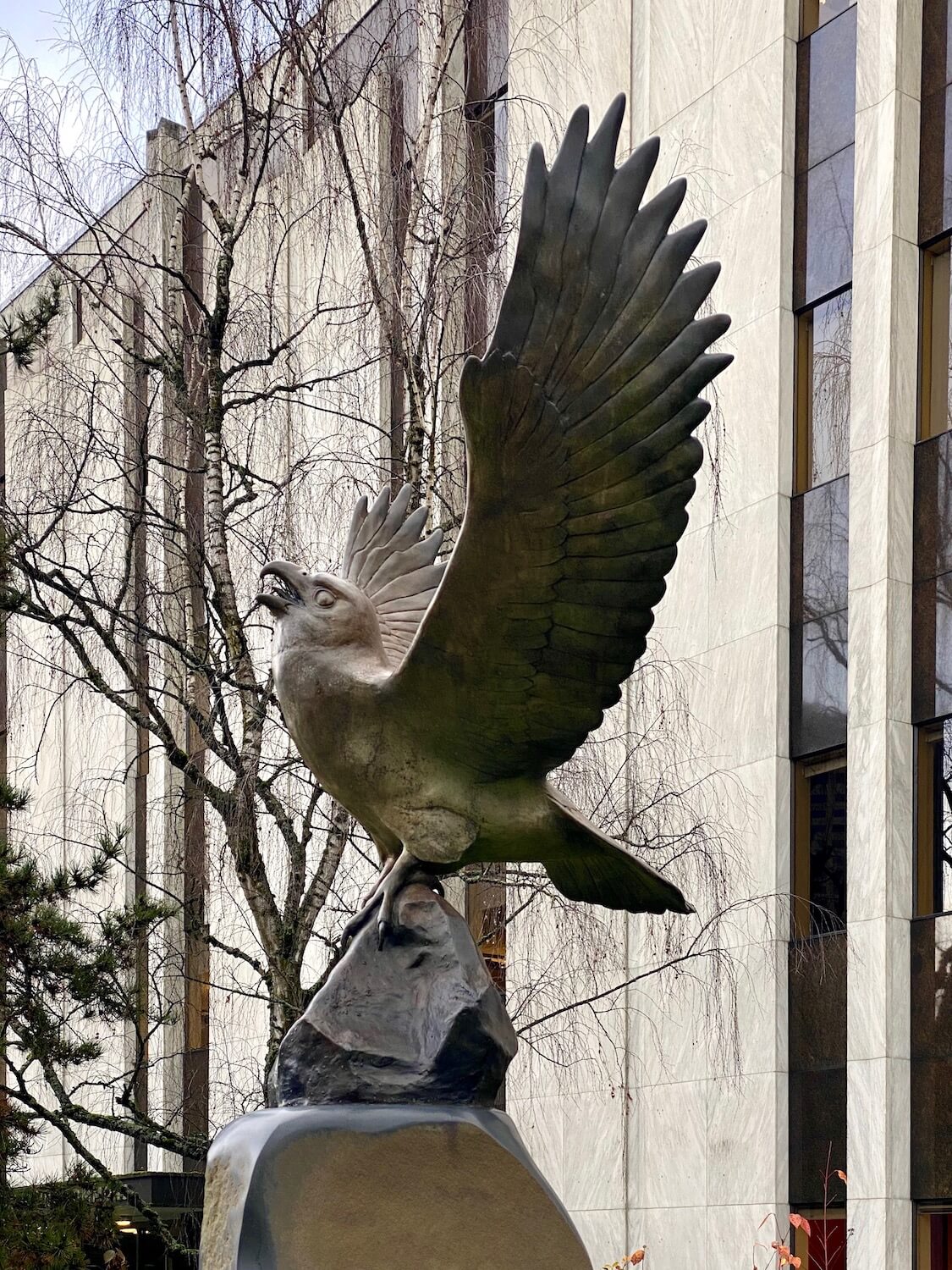 A bronze raven looks up to the sky with wings in full flap of flight.  This art installment is located near the entrance to a white marble building on the campus of Seattle University. 
