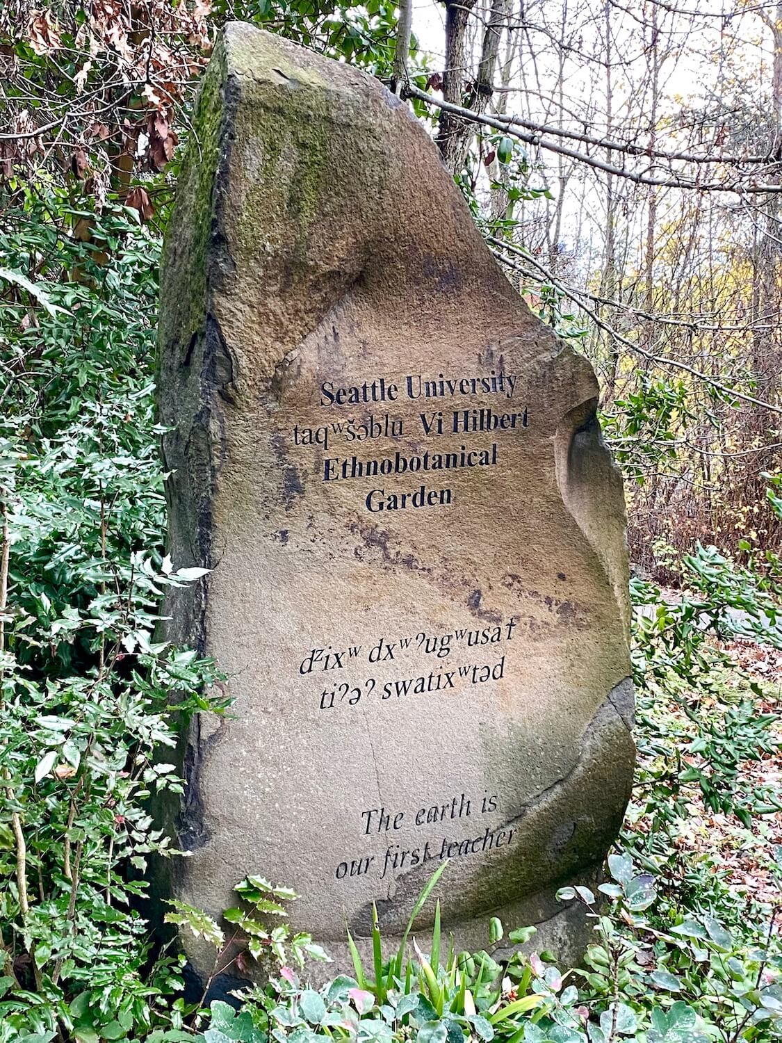 A giant rock greets people entering Seattle University.  It is surrounded by thick green vegetation and says "Vi Hilbert Ethnobotanical Garden."