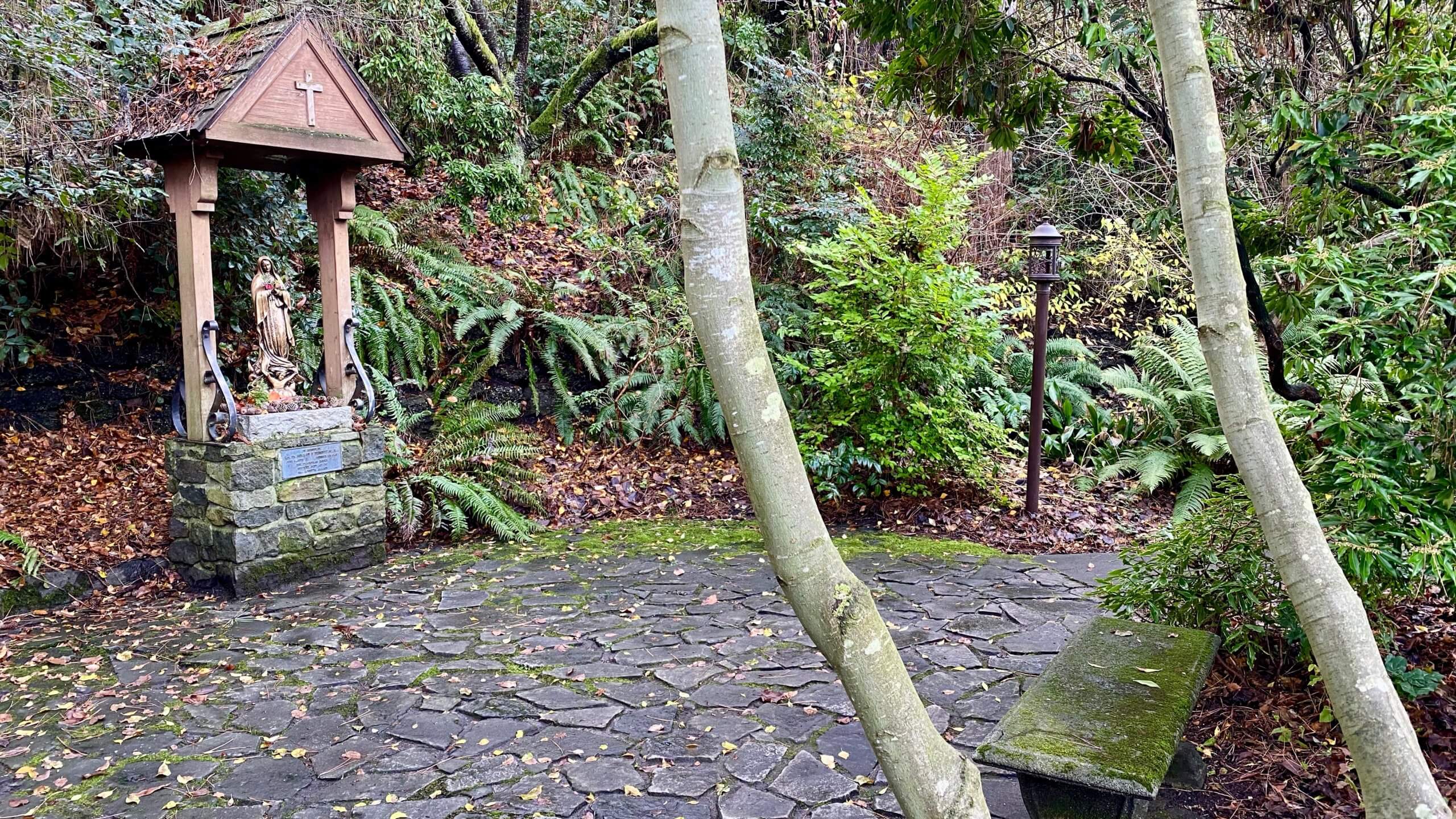 A shrine dedicated to the blessed Virgin Mary at Seattle University is protected by a bank with fallen leaves and ferns and a few deciduous trees hang overhead. 