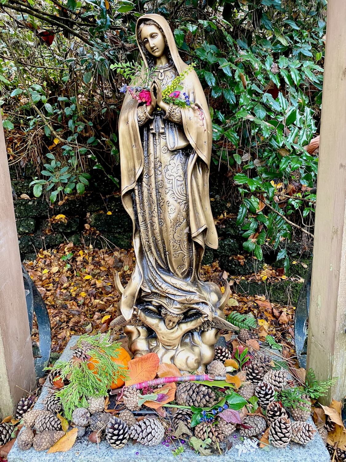 A bronze statue of the blessed Virgin Mary is adorned with a variety of flowers and other gifts from passer-bys in the garden at Seattle University.  The gifts are mixed in with a large number of pinecones and there is greenery behind her mixed with fallen leaves. 