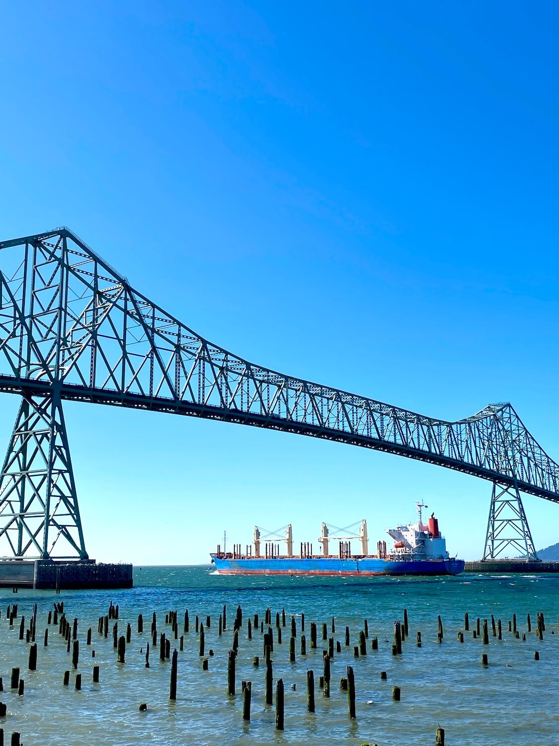 A large sea going vessel floats underneath the Astoria Bridge on the way out to sea.  The ship is carrying grain and has a blue hull with white upper decks.  The Astoria Bridge rises high up into the blue sky. 
