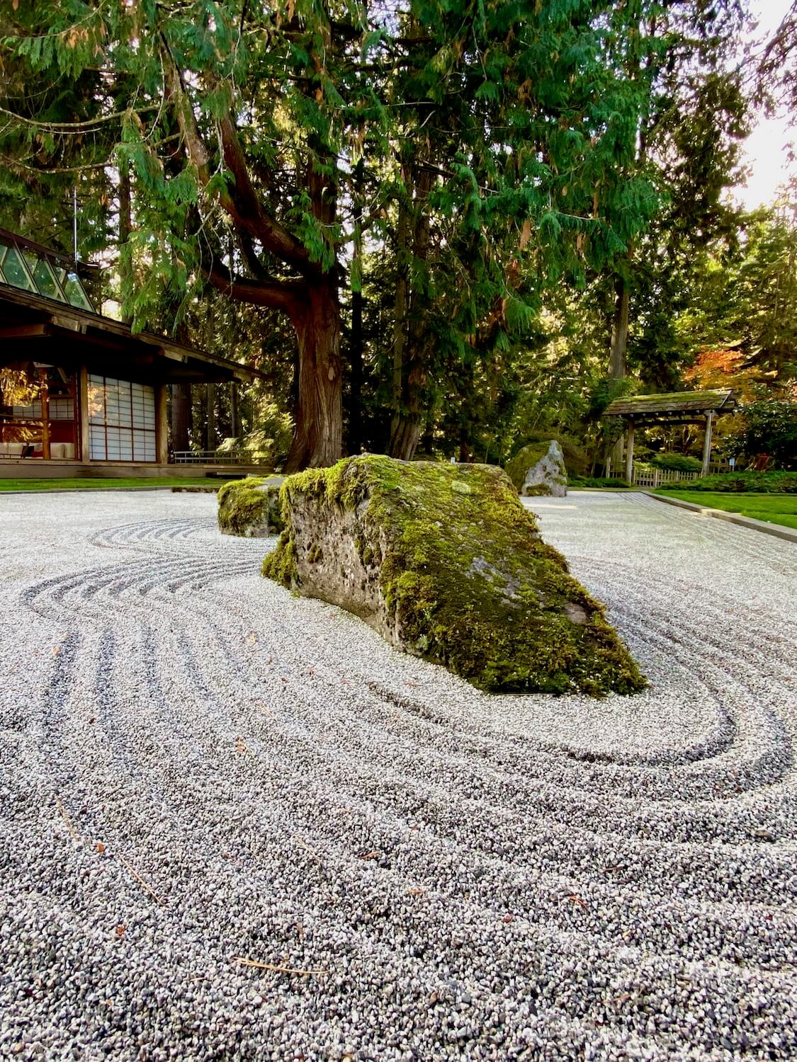 A Japanese style zen garden shows up close textures of the ranking while a moss covered stone pops up from the tranquil lines.  In the background is a wooden tea house with glass windows.  