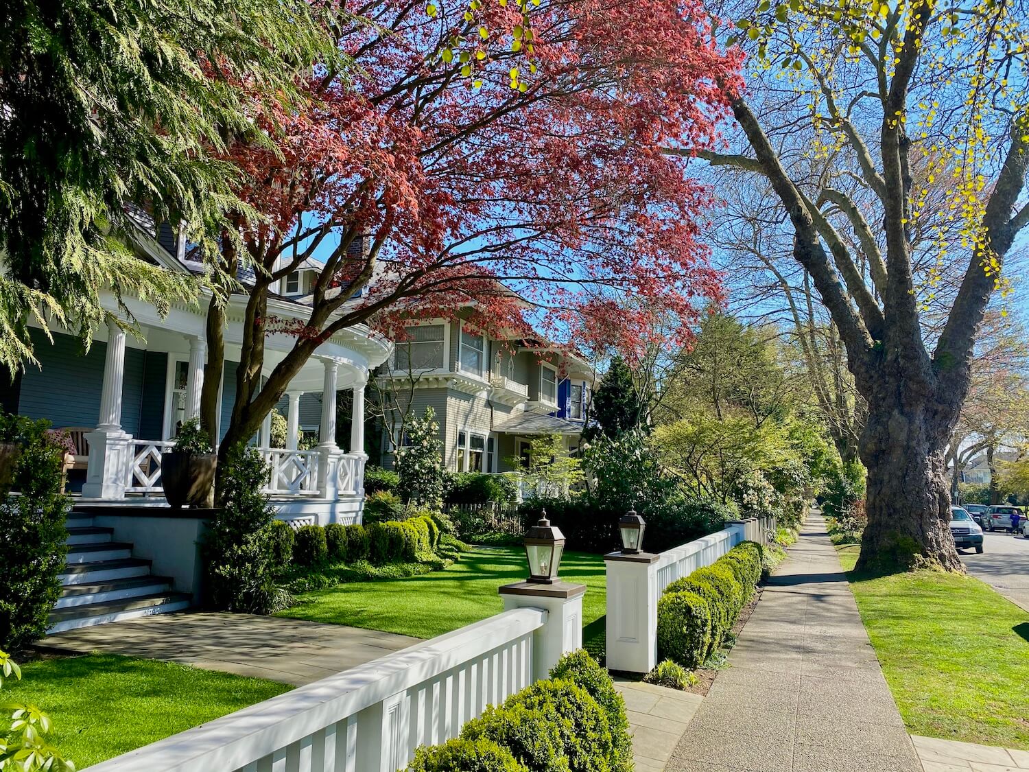 Seattle in Spring - the best outdoor things to do - Kessi World