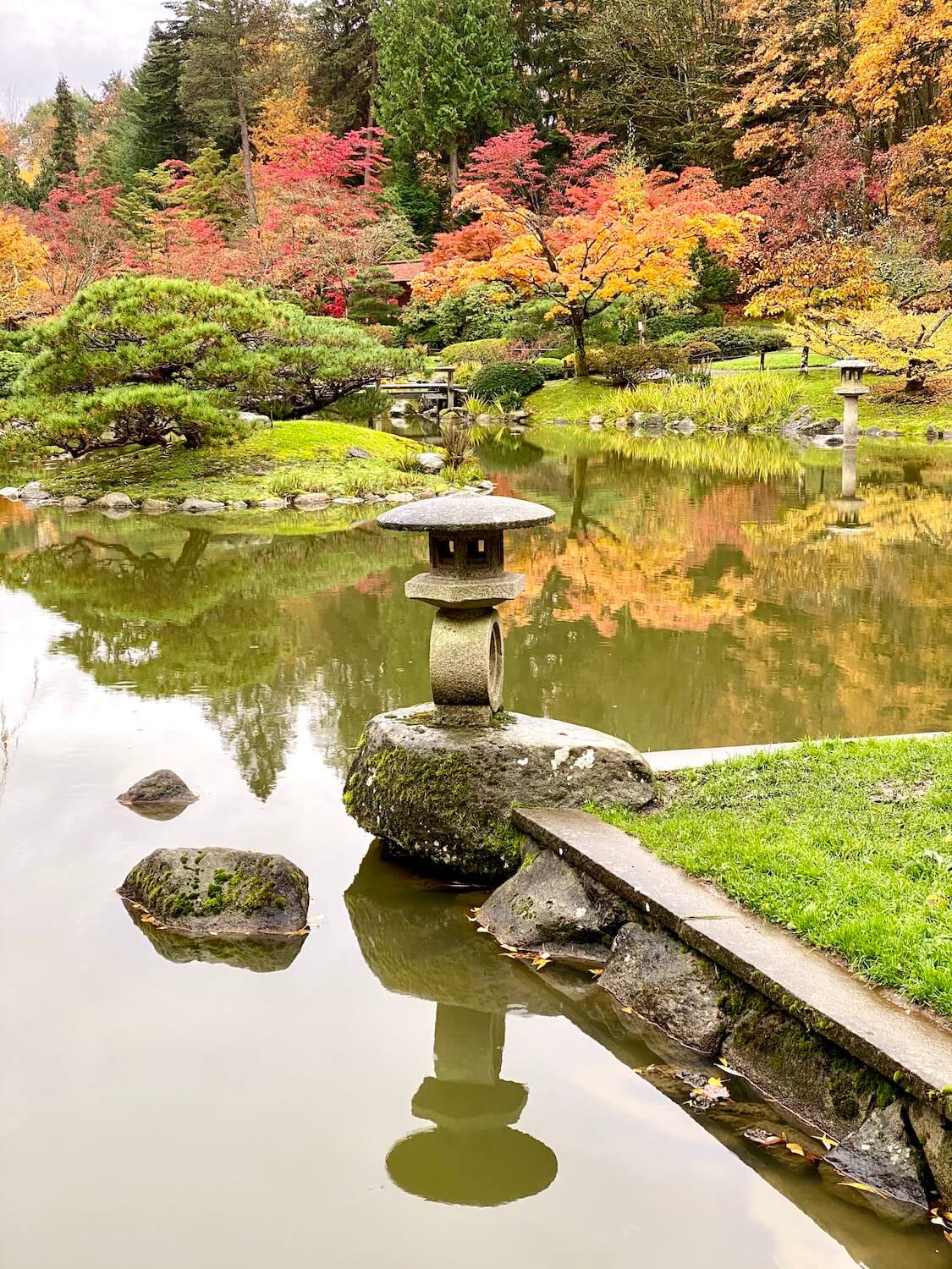 The Seattle Japanese Garden is perhaps one of the most inspiring in the city, with a large calm pond with lanterns casting shadows on the water.  The maple trees are changing colors with their leaves. 