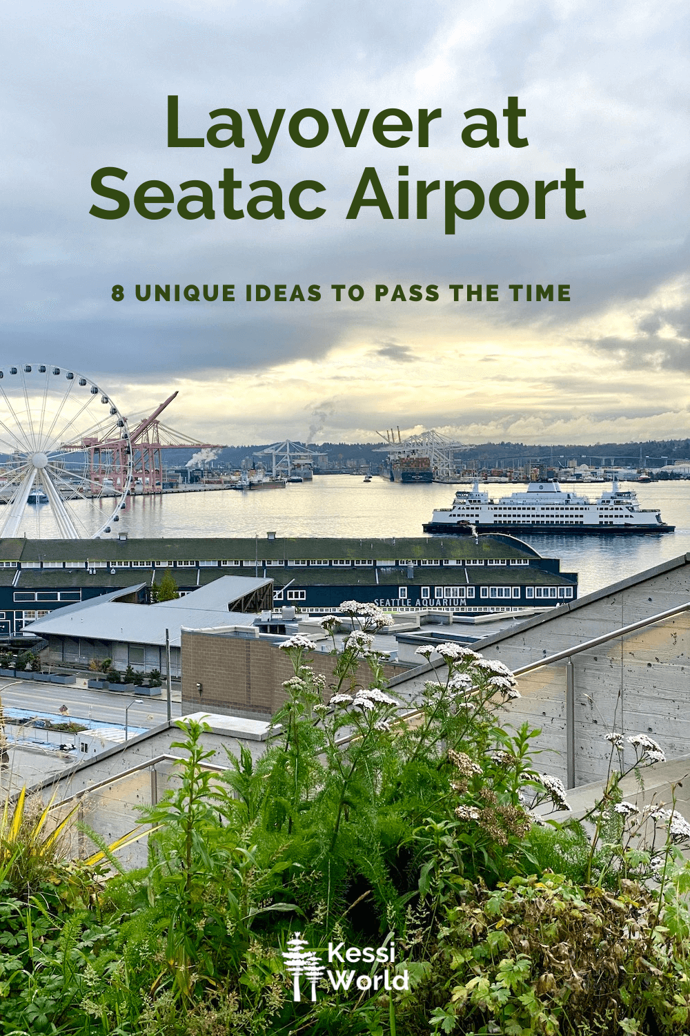 This Pinterest Pin highlights things to do with a layover at Seatac Airport.  In this scene there is the Seattle Great Wheel layered in by the Seattle Aquarium and a ferry gliding into port along the water.