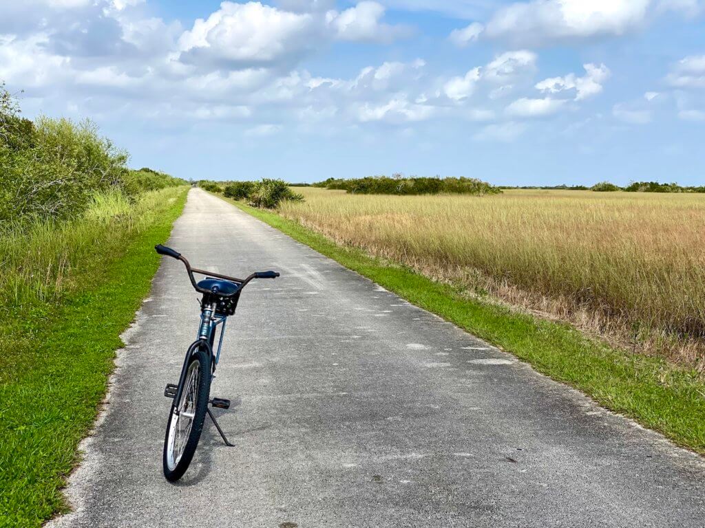 A bicycle is propped up along the path at Shark Valley in the Everglades National Park. The paved road is narrow and border bright green grasses on one side and lighter yellowish marsh land on the other. The sky is blue with puffy white clouds.