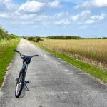 A bicycle is propped up along the path at Shark Valley in the Everglades National Park. The paved road is narrow and border bright green grasses on one side and lighter yellowish marsh land on the other. The sky is blue with puffy white clouds.