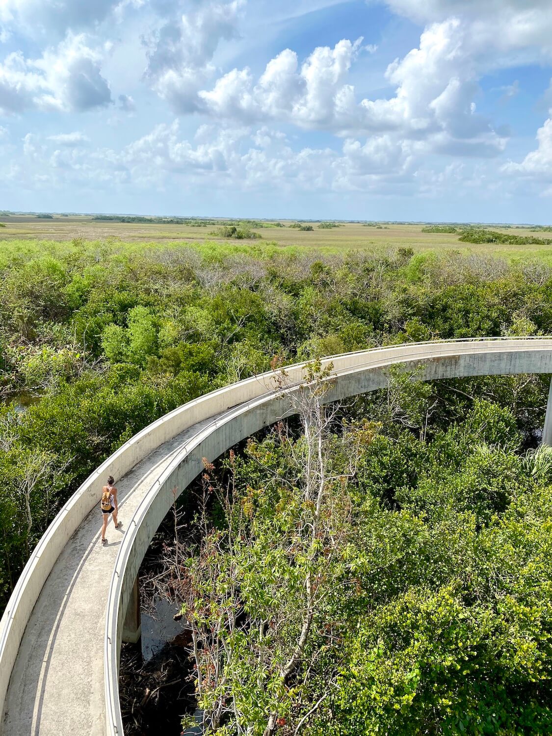 A woman walks up a curved ramp to the observation tower at Shark Valley in the Everglades.  The green jungle like trees open up to a wide view of marshland.