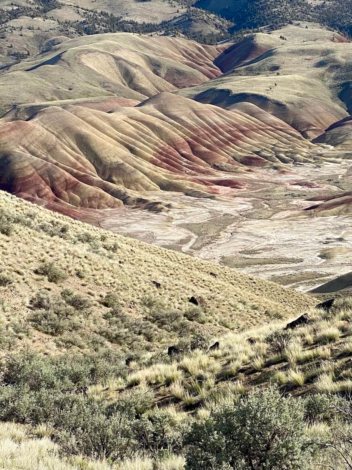 The flowing patterns of the Painted Ridge, with green, yellow and red make this photo pop out with inspiration.  the valley looks very dry while the small grasses and sage plants hold up the slope of the hill in the foreground. 