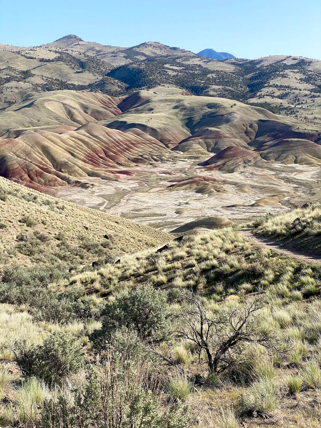 The beautiful flowing hills of the Painted Desert serve up layers of yellow, red, orange, gold and green in a flowing landscape that makes this photo pop.