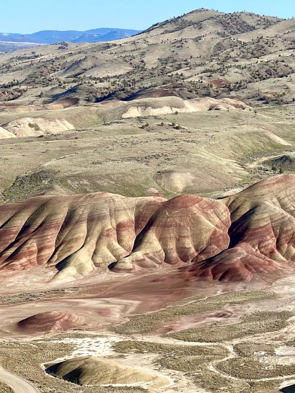 This photo, in the collection of Painted Hills Oregon photos showcases the unique formations of soil that show many layers of life in the ancient history of Oregon.  