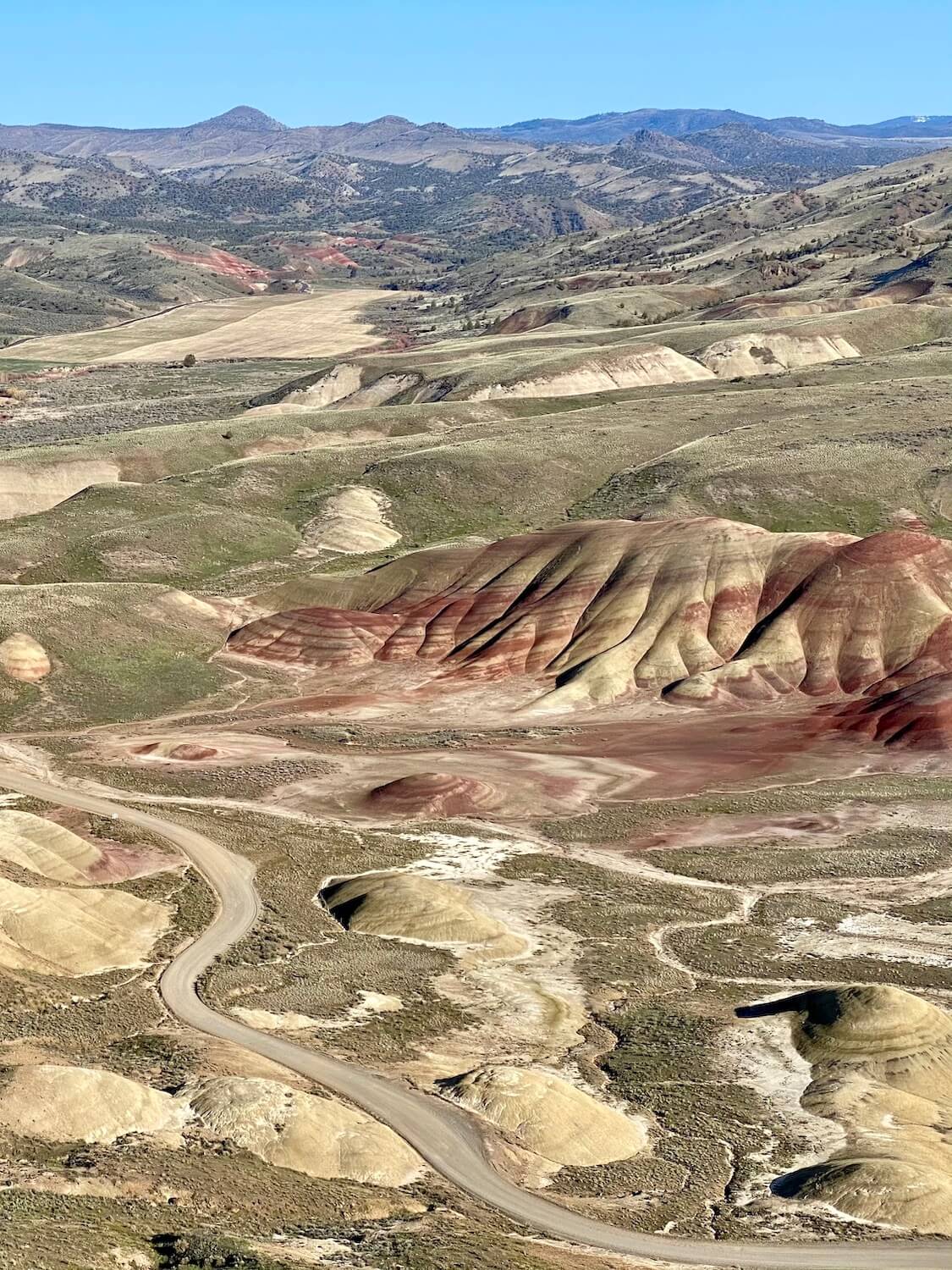 The Painted Hills Oregon shine in the bright sun from this viewpoint high above on the ridge next door.  Below is a gravel road winding through the mounds of soil that take on yellow, green and red hues.  The main feature looks like toes with red stripes running through them.  The rolling hills in the background lead to a blue sky above.  