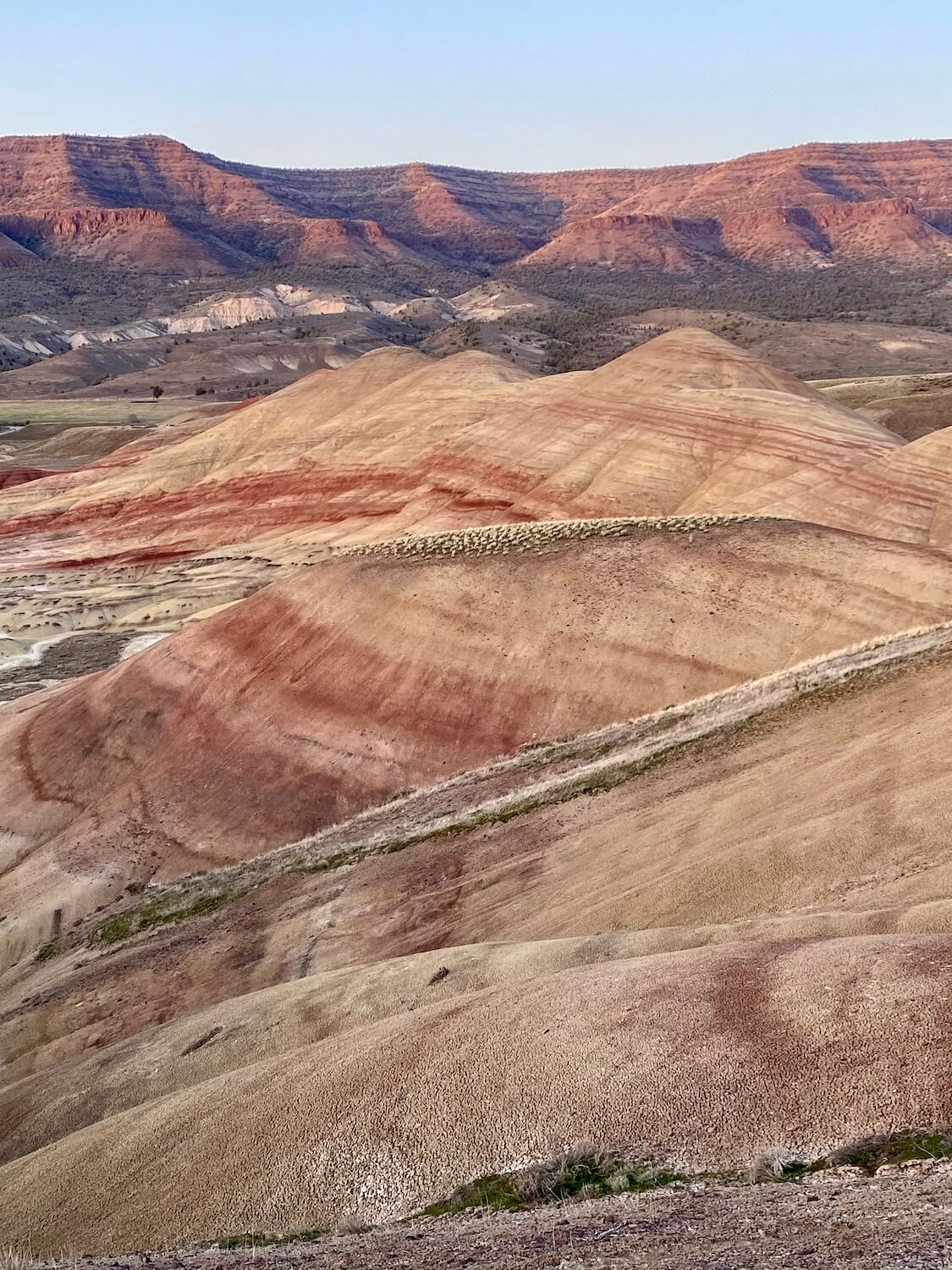 A closeup photo of a ridge at the Painted Hills monument in Oregon.  The layers of color are vibrant and cover just about every earthly color from green to orange to yellow to brown to red. 