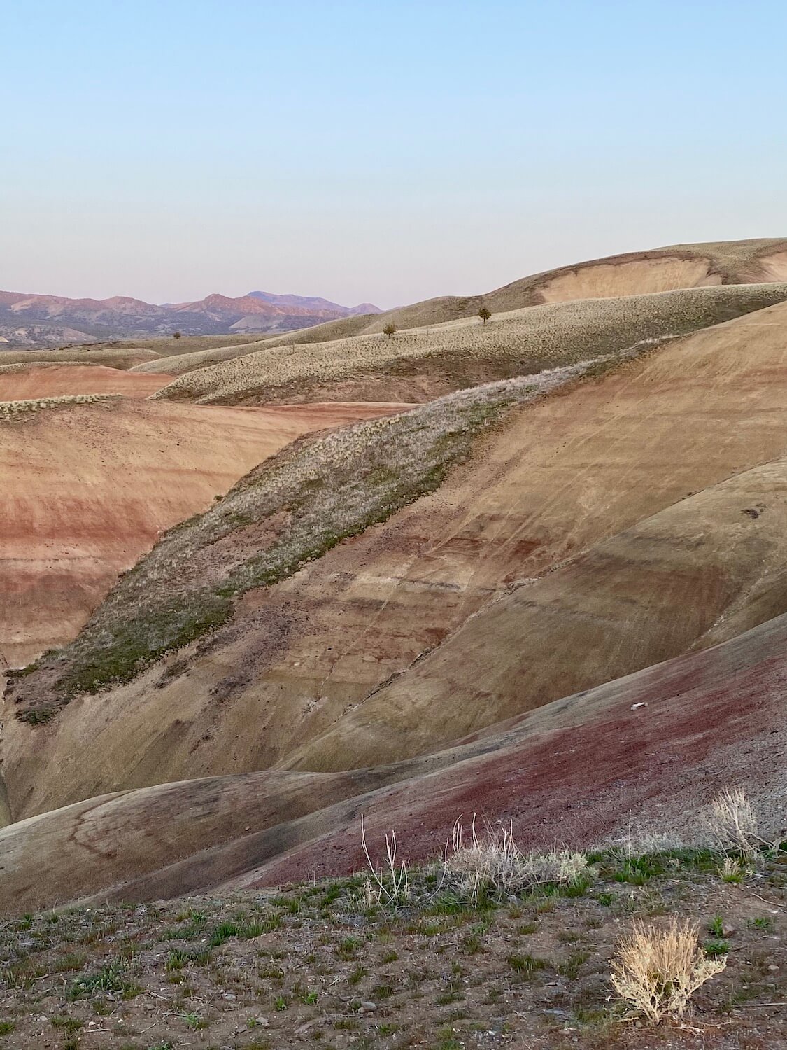 A closeup photo of a ridge at the Painted Hills Oregon.  The layers of color are vibrant and cover just about every earthly color from green to orange to yellow to brown to red. 