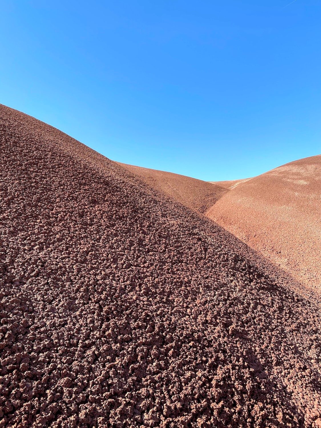 The coral like soil of the Painted Cove trail at is voluptuous with several different mounds coming together under a bright blue sky.  This photo taken at the painted hills in Oregon also shows the intricate red matter that once was ash falling from nearby volcanoes. 