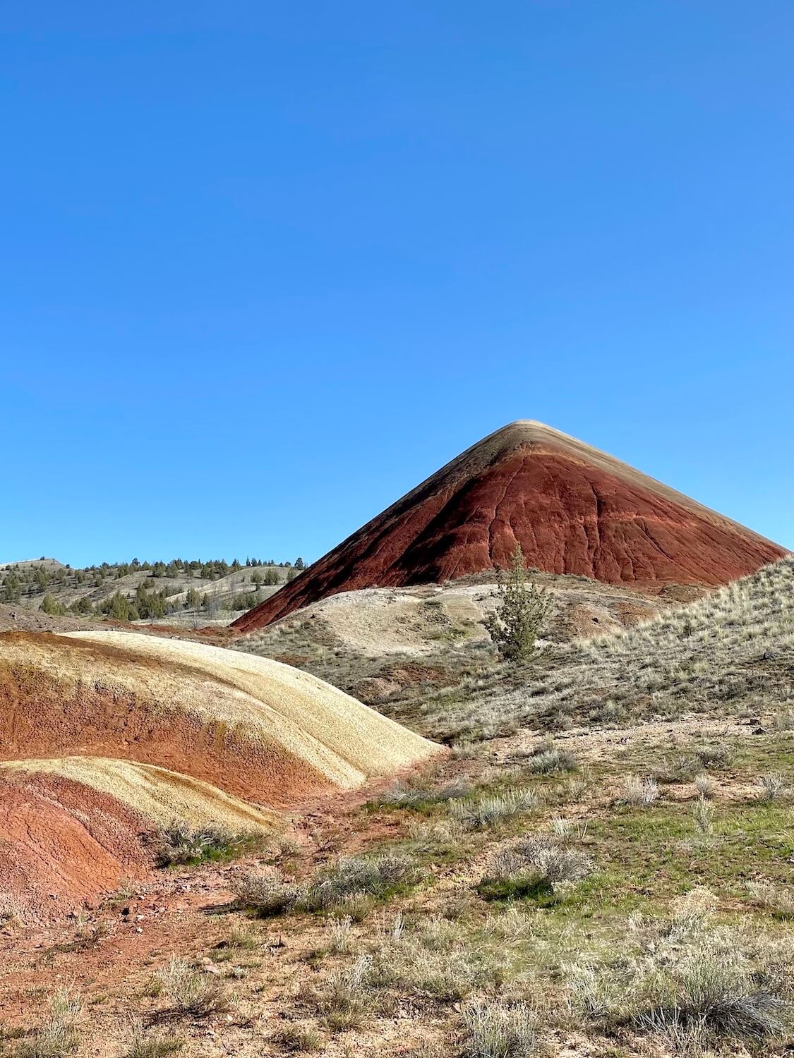 The striking red mound at the Red Scar Knoll hiking trail beckons a closer look while the blue sky makes the color really pop.  The green grasses in the foreground add additional elements of interest to the photo.