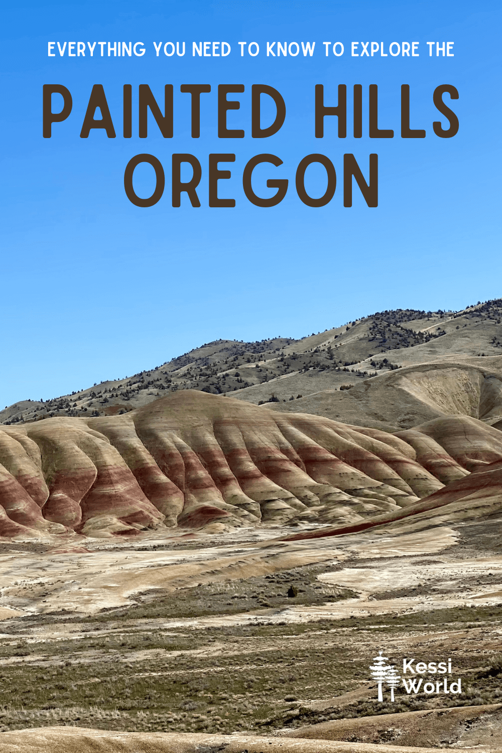 This Pinterest Pin showcases the brilliant red and yellow colors of the Painted Hills in Oregon. 