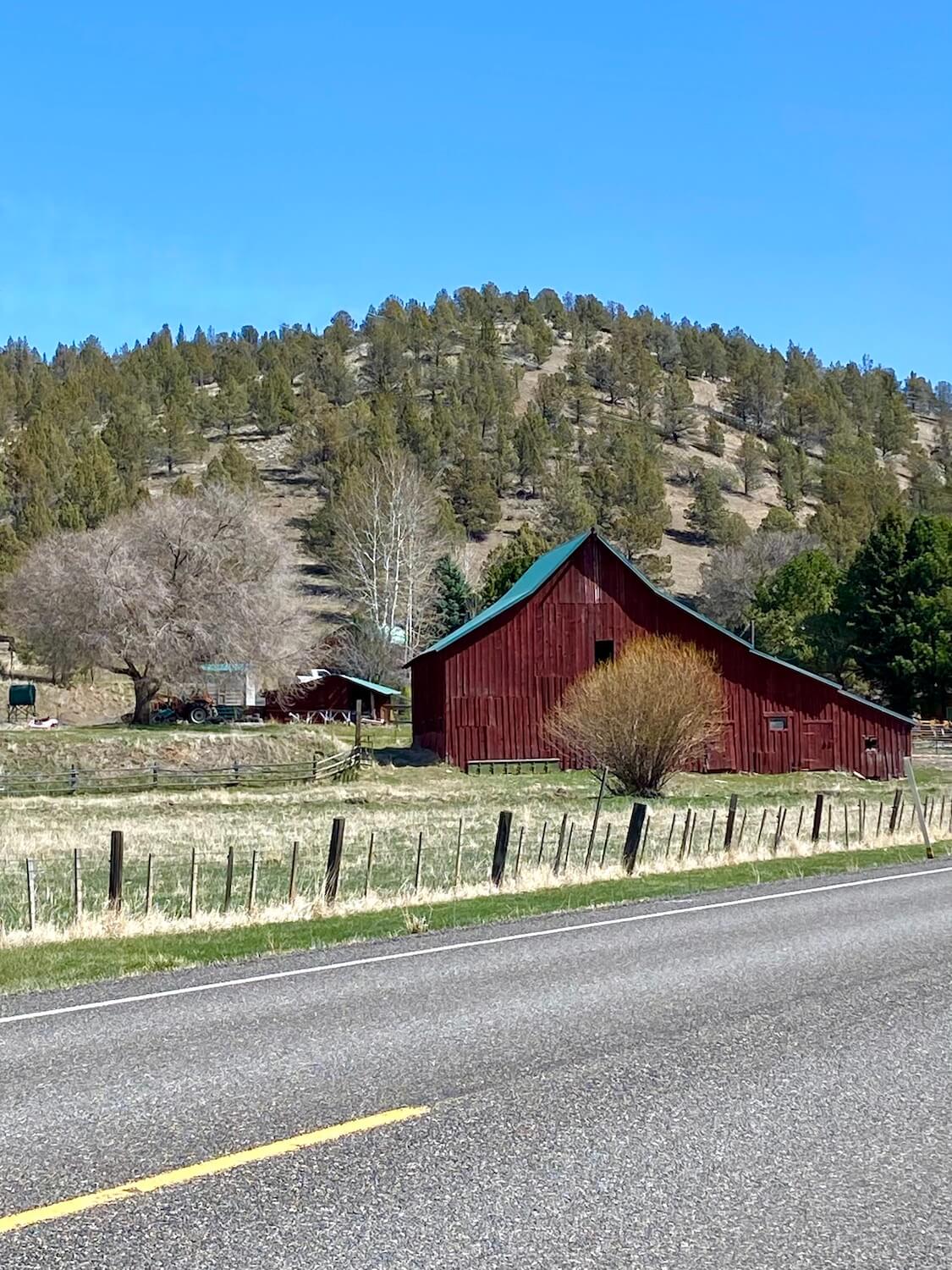 A red barn covered by a green roof sits near the highway, which can be seen along with a yellow center line.  The barn is surrounded by several dormant trees and the hills rise above to the blue sky, covered by a sparse forest of pine trees.  
