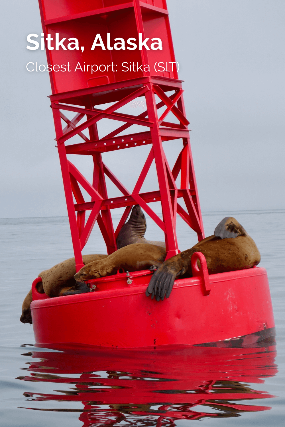 A bright red buoy rocks back and forth with four sealions lazily laying on the red metal surface.  They are near a shipping channel in Sitka, Alaska and the sea beyond them is peaceful.  