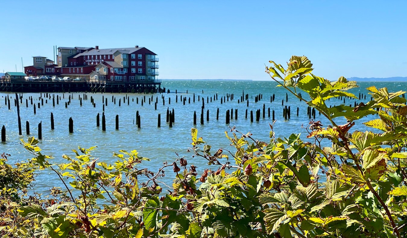 Cannery Row Hotel sits on a pier amongst hundreds of wood pilings popping up in the Columbia River.  This is a great place to stay while enjoying a weekend getaway to Astoria, Oregon.  The sky is blue and the foliage in the foreground green. 