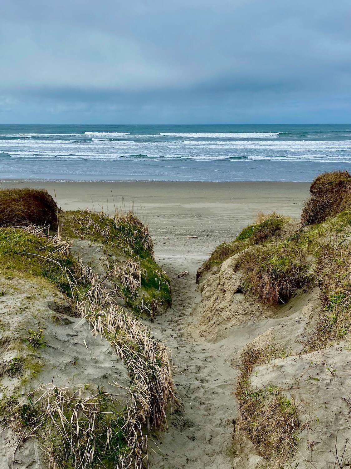 A shot of the Washington Coast reveals sand formations covered with sea grass leading out to the waves of the Pacific Ocean.