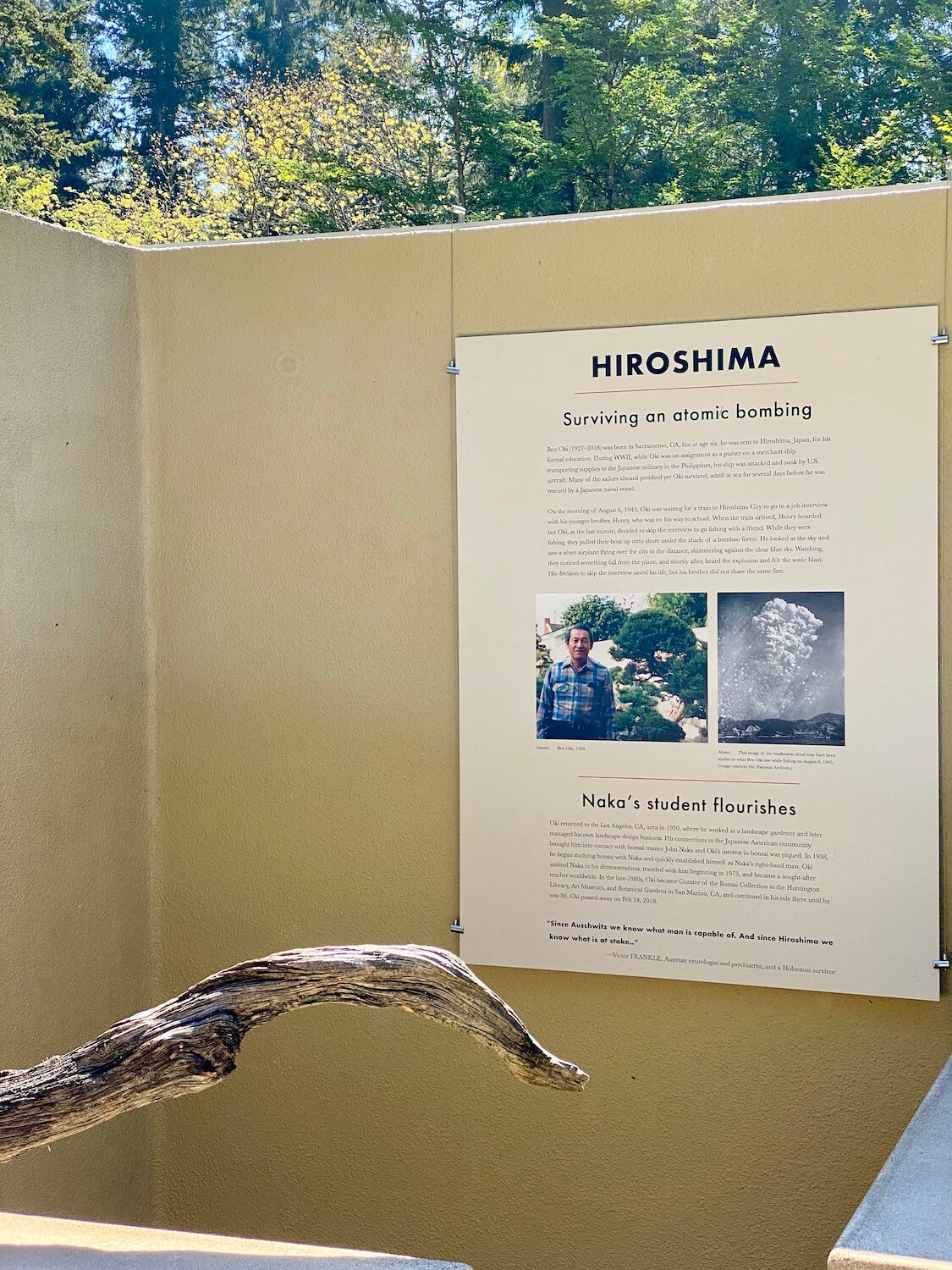 This placard at the Pacific Bonsai Museum, near Seattle, Washington, tells the story of a famous Bonsai Master who survived the US bombing of Hiroshima, Japan.  The beige color of the placard barely contrasts to the yellow stucco on the outdoor wall behind.  In the foreground a wave of charred wood brings home the intense content of the exhibit.  