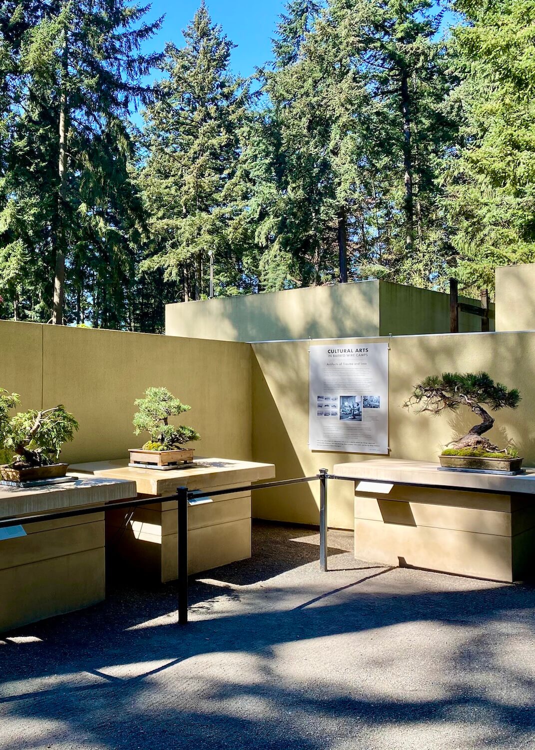 The Pacific Bonsai Museum is primarily outside amongst the local example of nature.  These three exhibits feature miniature trees amongst tan stucco walls and support tables holding the pieces.