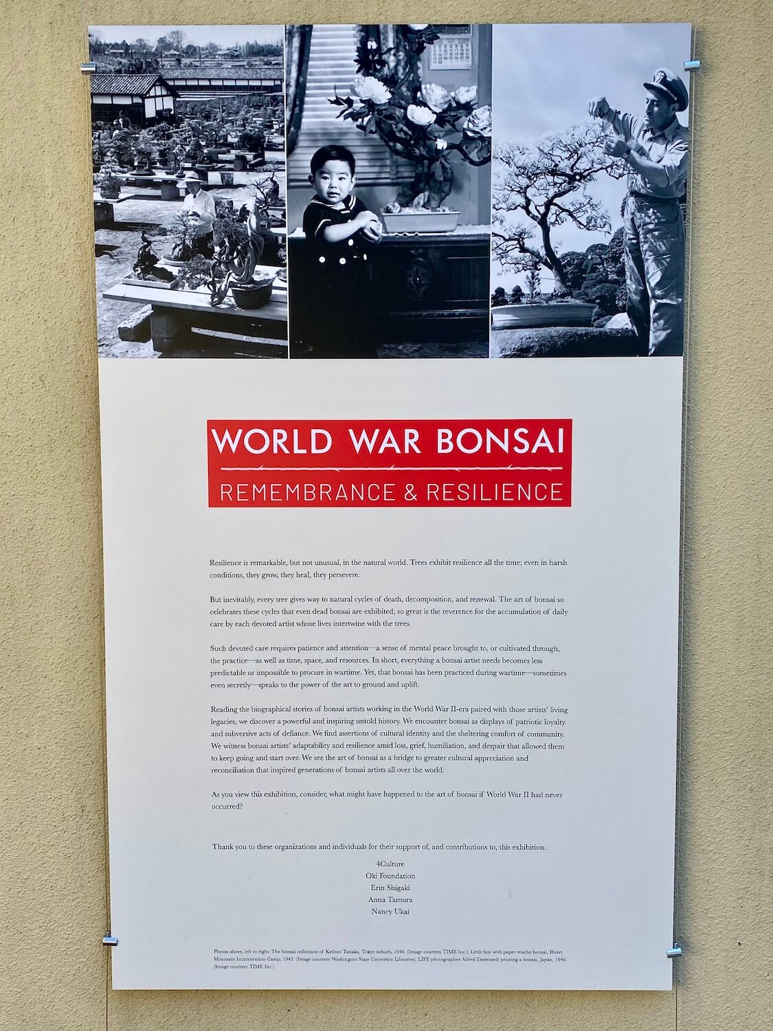 This placard welcomes guests to the Pacific Bonsai Museum and the specific exhibit titled "World War Bonsai" which is written in bright red while three portrait style black and white photos feature history around the time of World War 2 in the United States. 