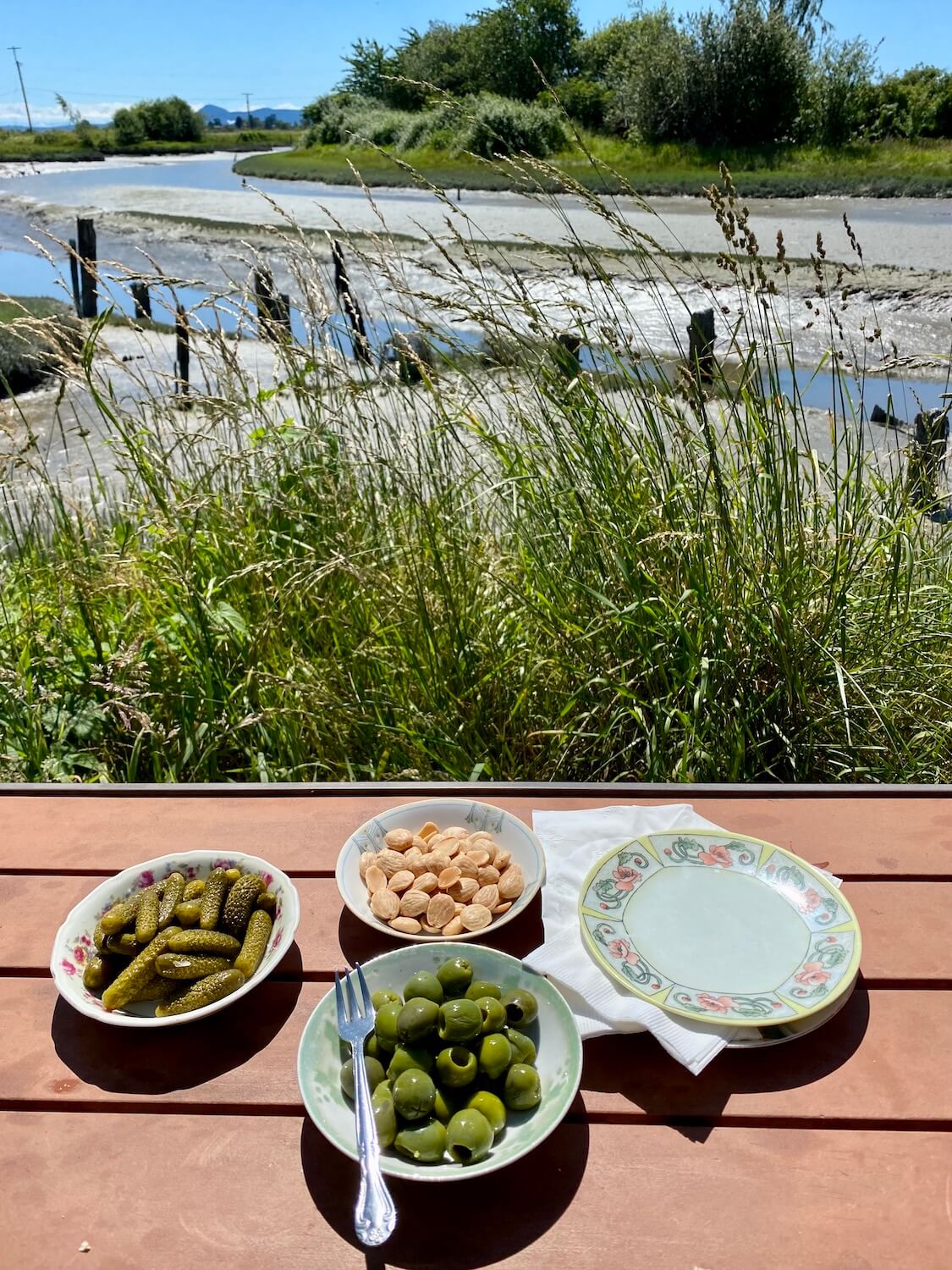 Small plates of snacks are on a picnic table overlooking a grassy bank leading to a tidal slough in Edison Washington. This makes a great stop on the Seattle to Vancouver drive.