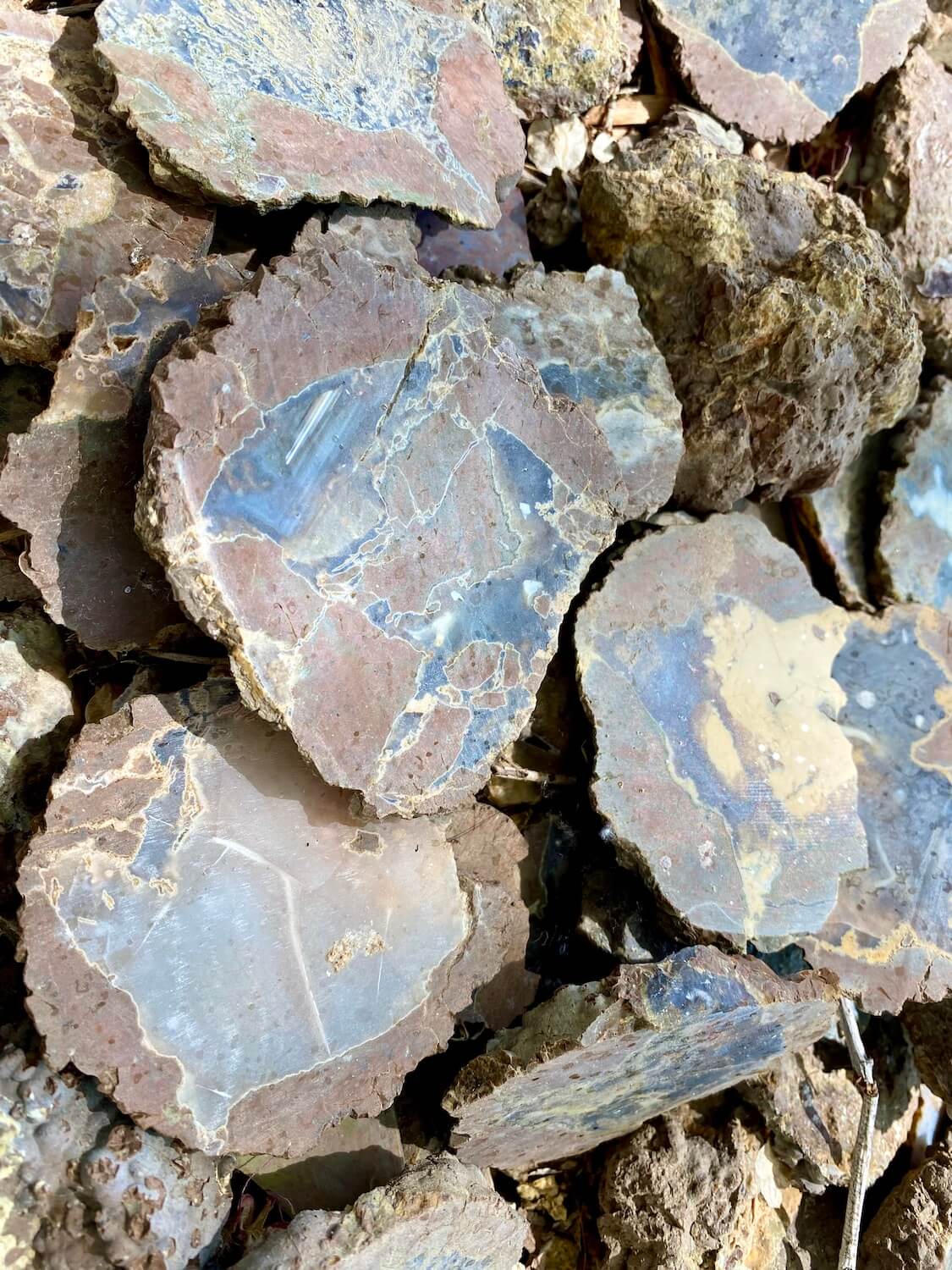 An up close shot of thunder eggs reveals the interesting geometric patterns of the tennis ball sized geodes.  There are patches of red, black, yellow and even rainbow. 