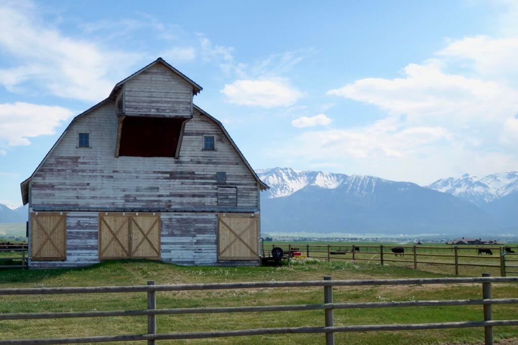A barn near Joseph, Oregon sits on green grassland just in front of the Wallowa Mountains in Eastern Oregon. There are cattle grazing and wood posts create the fencing.