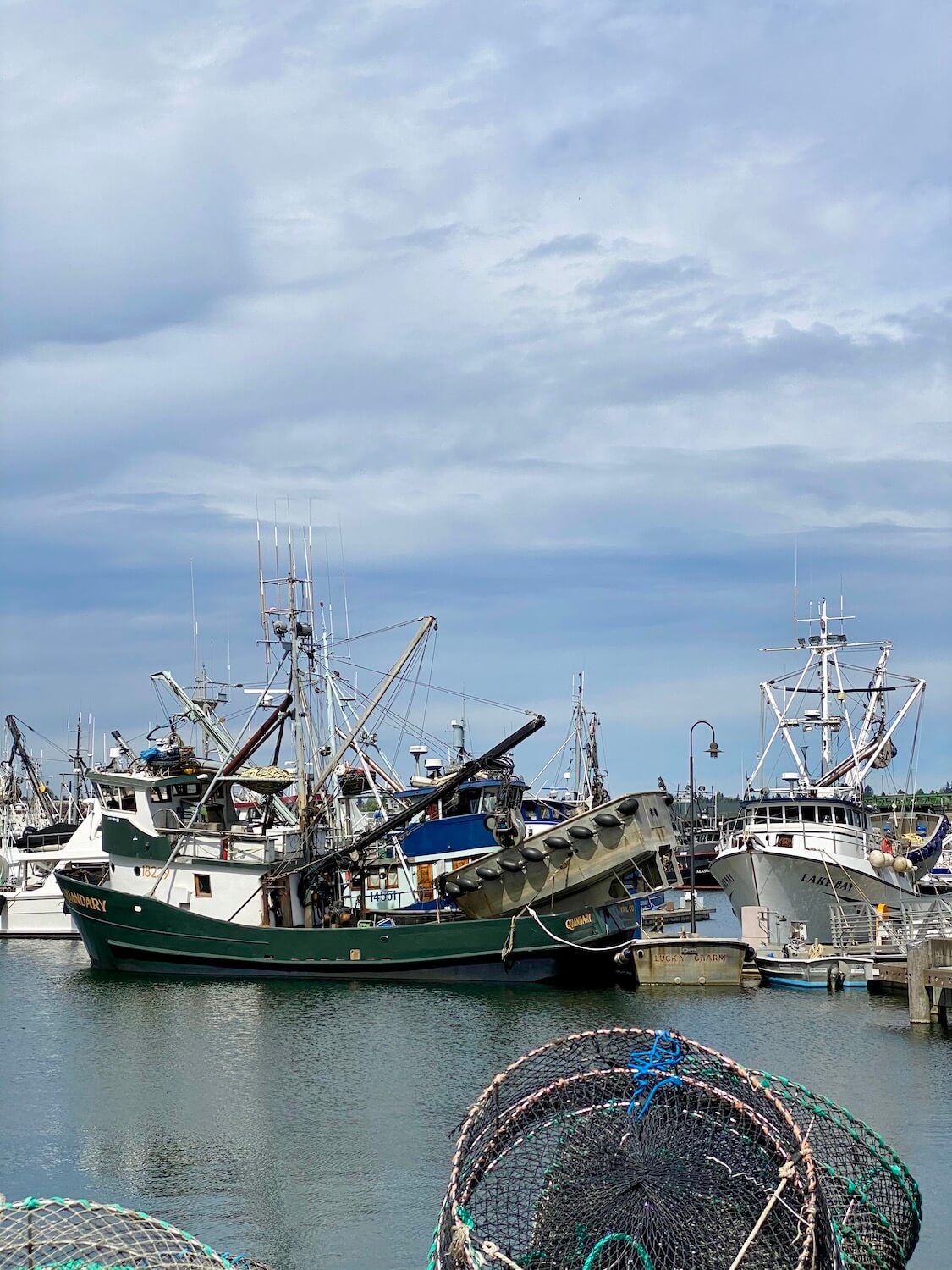 A variety of fishing vessels come together at the marina, adorned with fishing nets and other gear.  