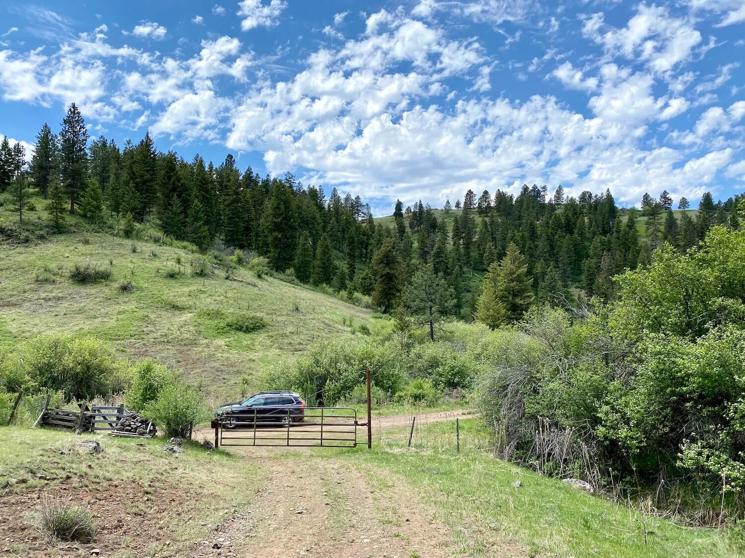 A blue SUV sits at the end of this dirt ranch road behind a gate near Zumwalt Preserve in Northeast Oregon.  The sky is peppered with white fluffy clouds and the hill above the vehicle has a fir tree forest. 