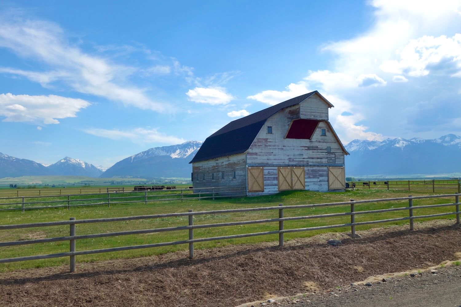 A white barn with distressed white painting sits in the middle of a field framed in by a metal fence.  In the background the Wallowa Mountains rise up toward the blue sky. 