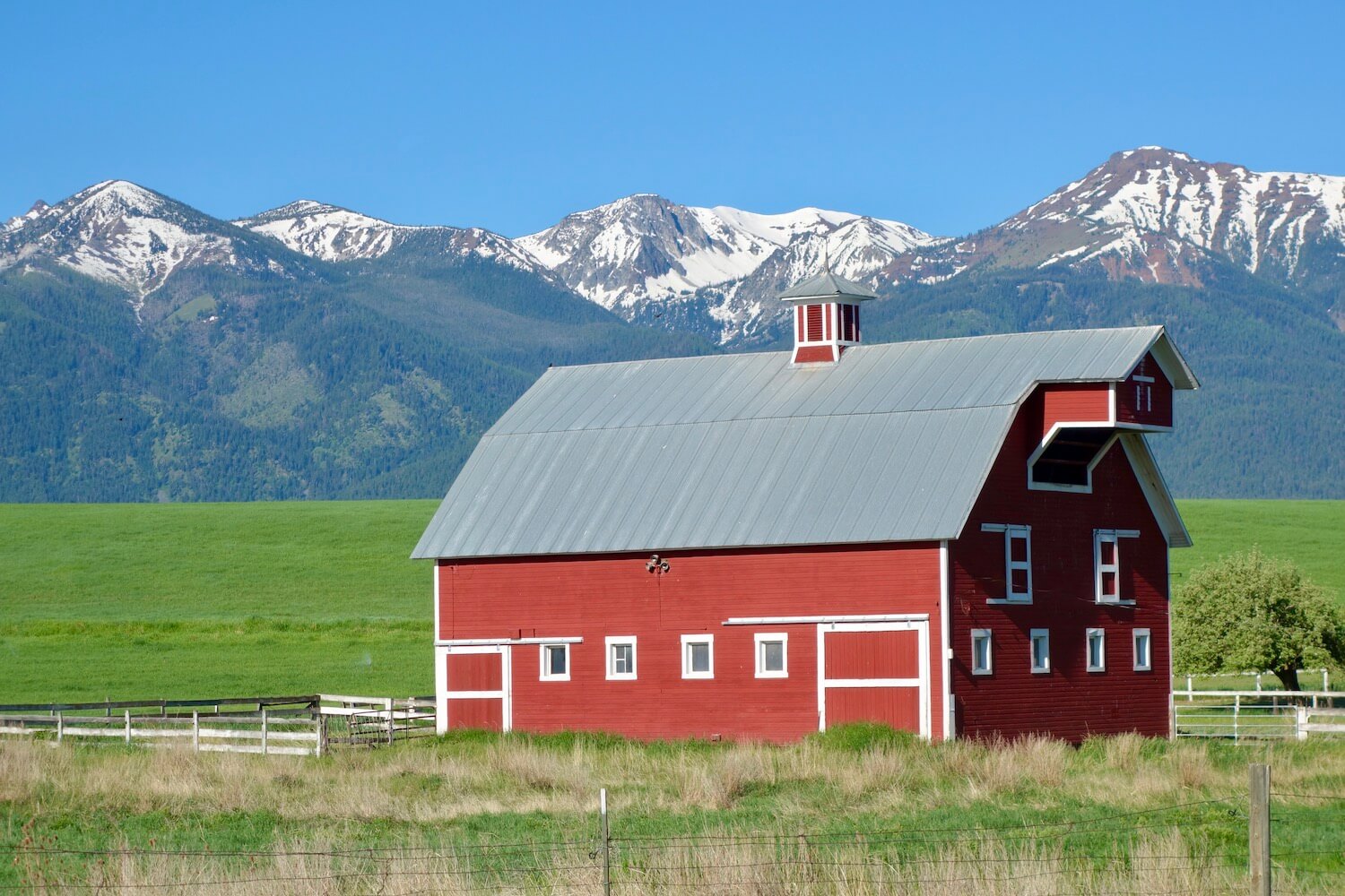 A red barn can be seen from the side of the road near Joseph Oregon on a road trip through the Wallowa Mountains, which are snow covered in the background of this photo.  The barn has a gray metal roof.  