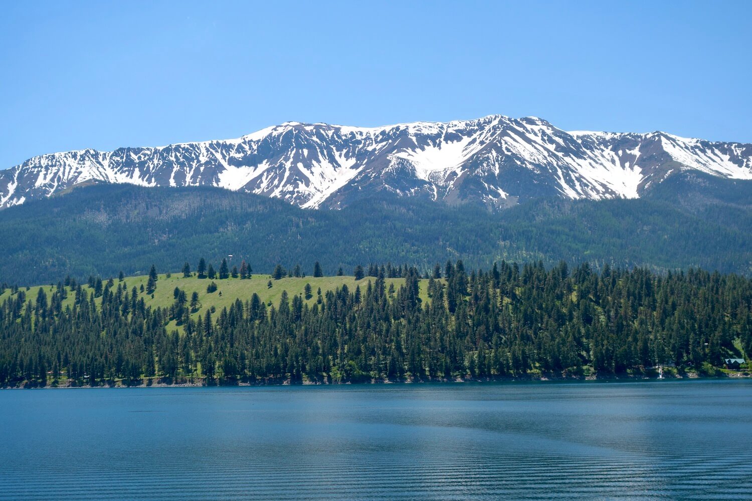 Wallowa Lake is peaceful as a band of forest and meadow show off various textures of green while the snow covered mountains rise toward the blue sky. 