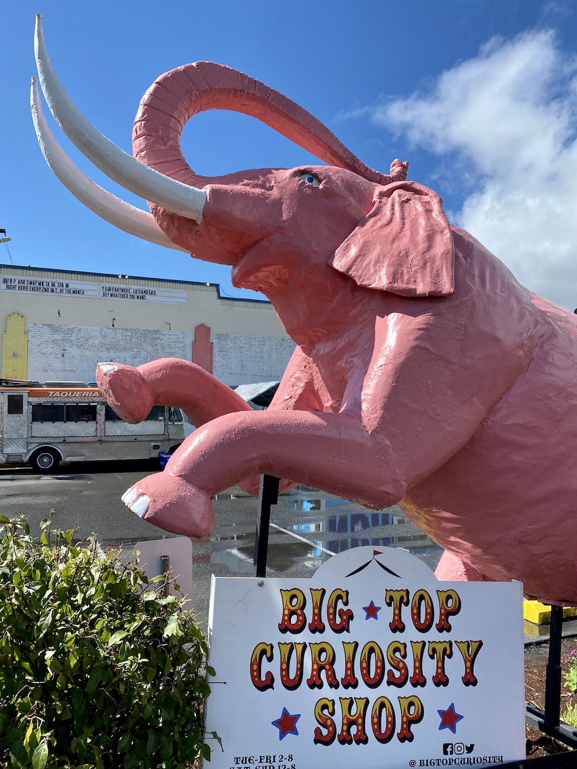A paper mache pink elephant rears up on hind legs toward the blue sky in the South Park neighborhood of Seattle.  The Summer season makes exploring the neighborhoods a great outdoor thing to do. 