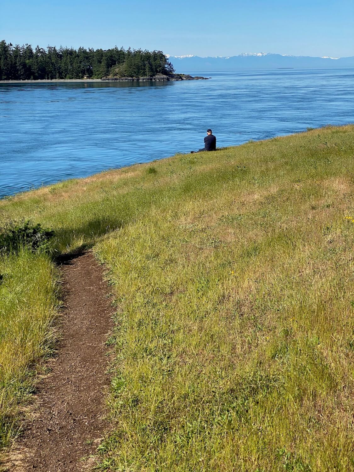 Those moving to Seattle will want to take day trips to explore areas like this grassy hill overlooking the rich blue Salish Sea with the snow-capped Olympic Mountains in the background.