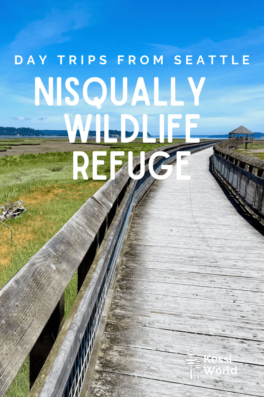 This Pinterest pin displays white letters that read "day trips from Seattle" and highlights Nisqually Wildlife Refuge. The photo shows a wood boardwalk winding along green grass and yellow flowers below. The trail leads to a wood gazebo that can be seen in the distance below a blue sky.