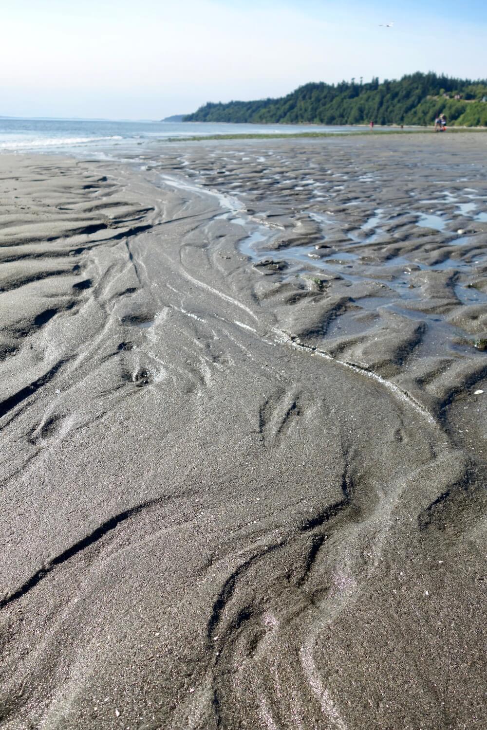 The symbol for Death and Rebirth in Seattle is the low tide of the Salish Sea.  Here the tide is all the way out, revealing the flowing patterns of the bare sand.